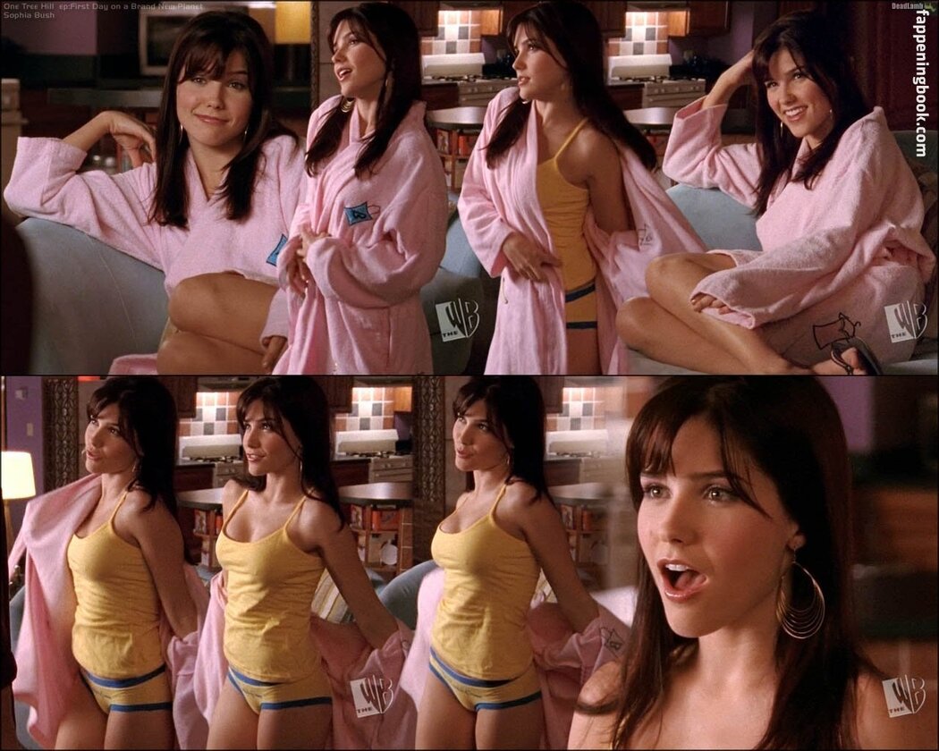 Sophia Bush Nude