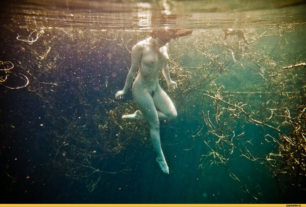 Nude Girls Diving