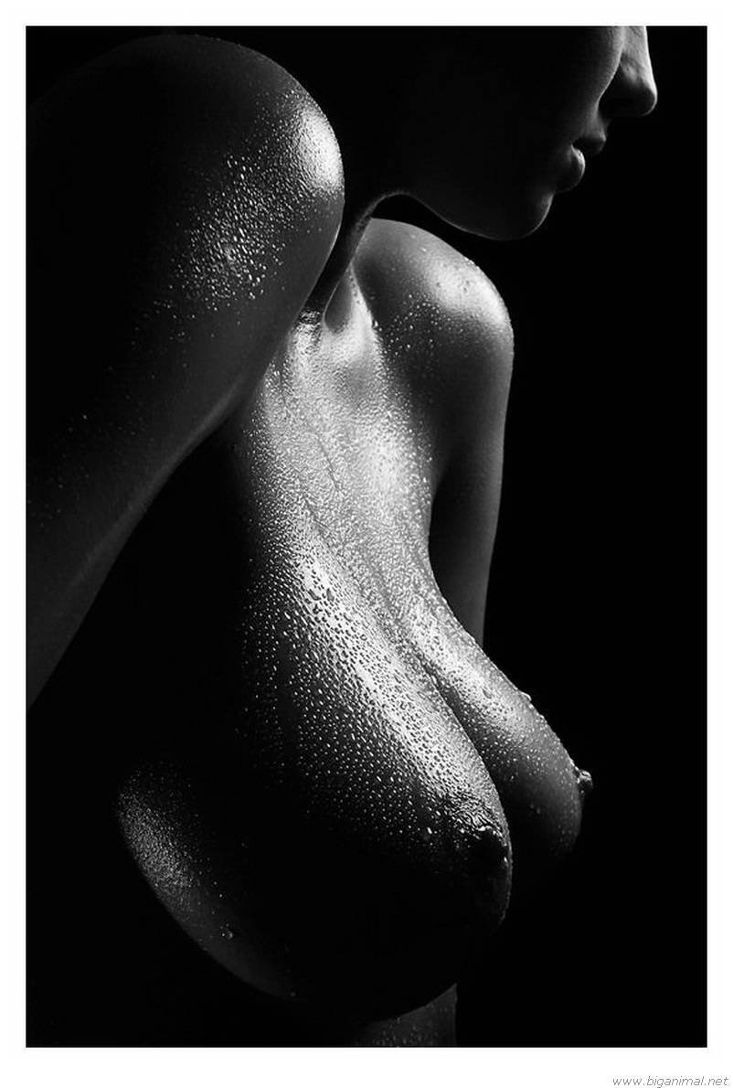 Black Nudes Boobs