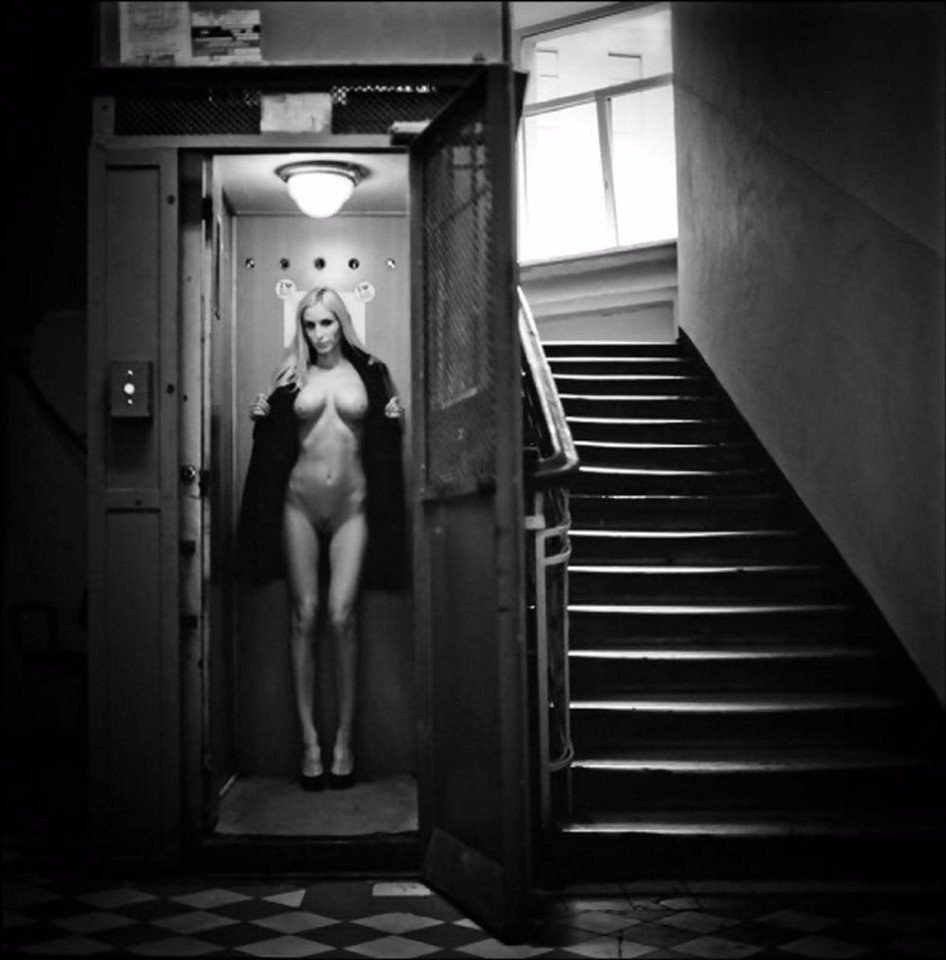 Nude In The Elevator