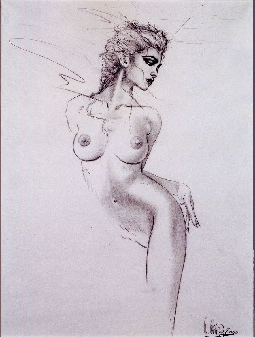 Nude Pencil Drawings