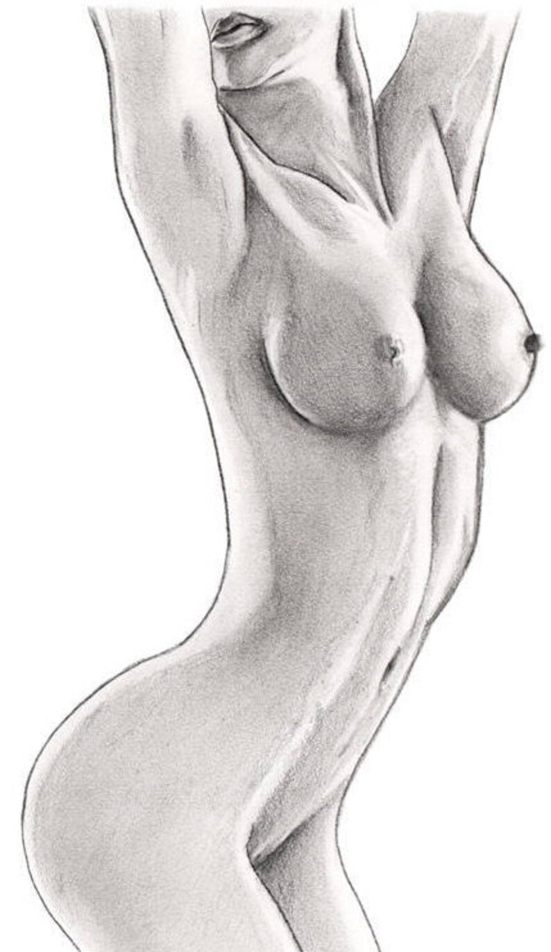 Nude Pencil Drawings