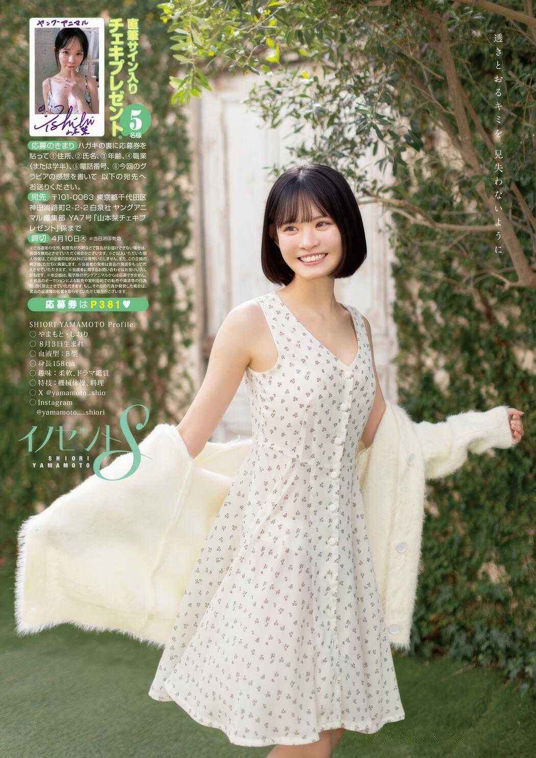 PPEガールズ, Shiori Yamamoto 山本栞, Young Animal 2025 No.07 (ヤングアニマル 2025年7号)