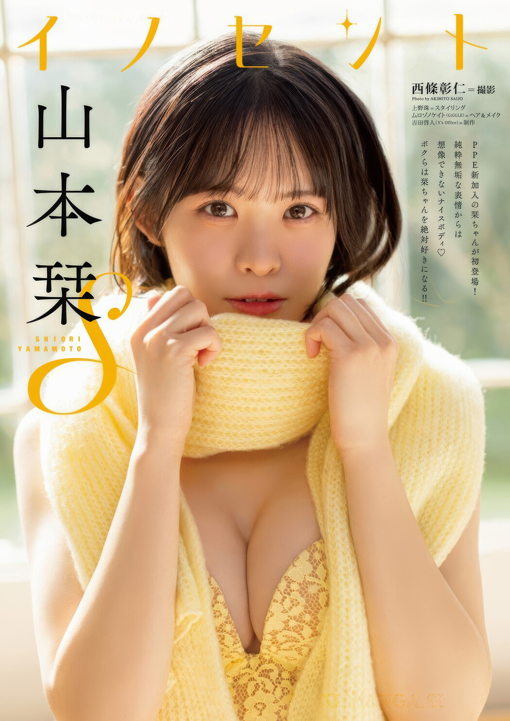 PPEガールズ, Shiori Yamamoto 山本栞, Young Animal 2025 No.07 (ヤングアニマル 2025年7号)