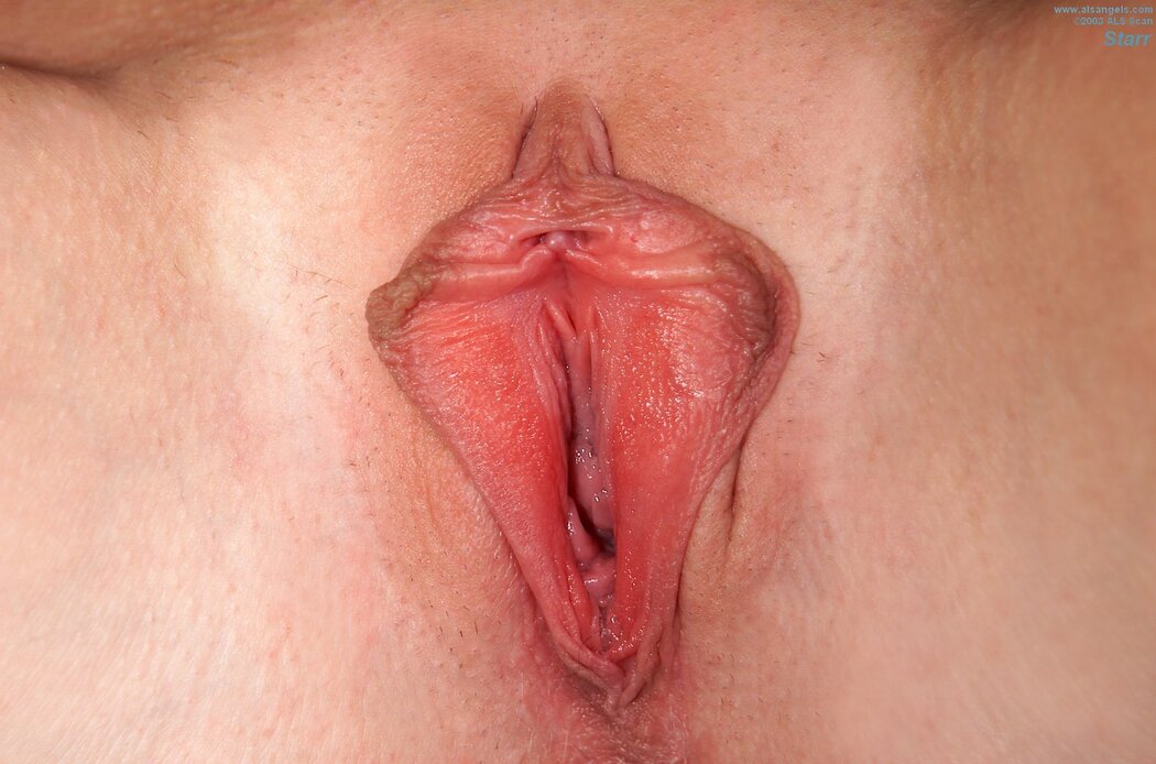 Big Vulva Porn