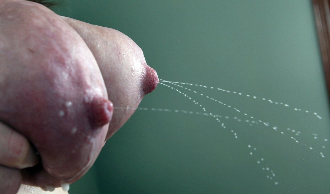 Lactating Tits