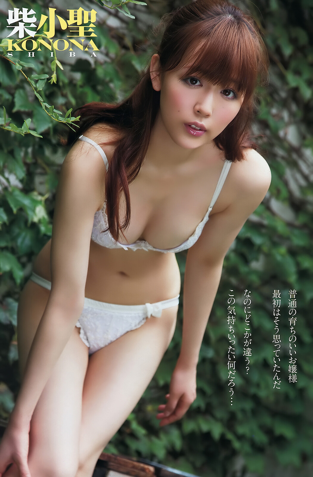 Mayu Nozomi 希美まゆ, Young Animal Arashi 2011 No.12 (ヤングアニマル嵐 2011年12月号)