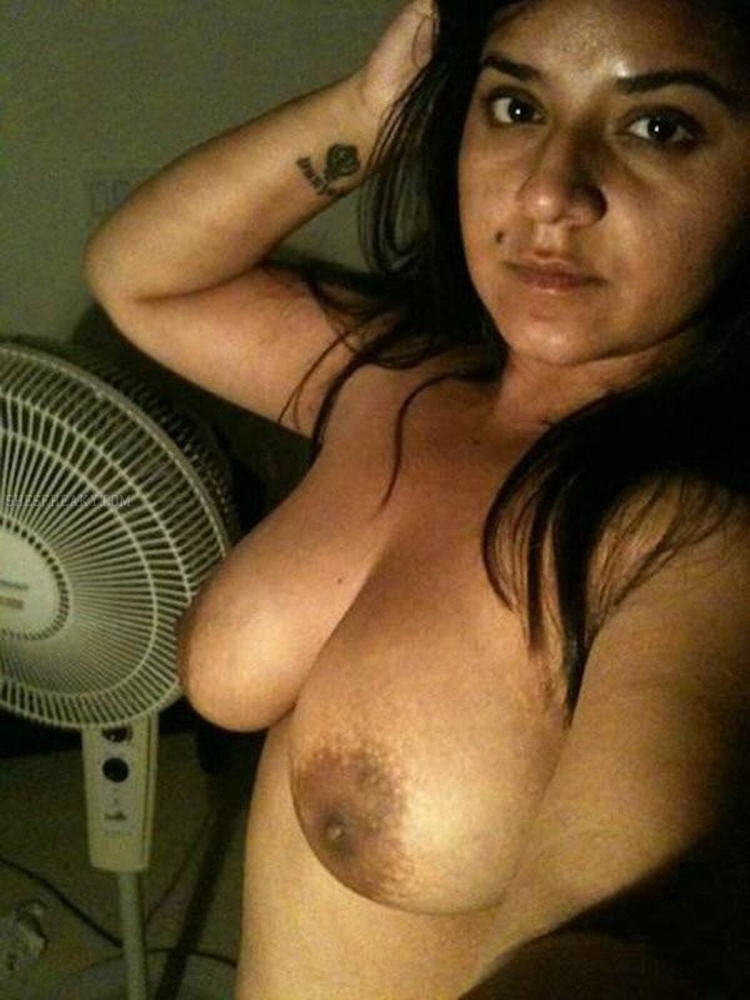 Indian Tits