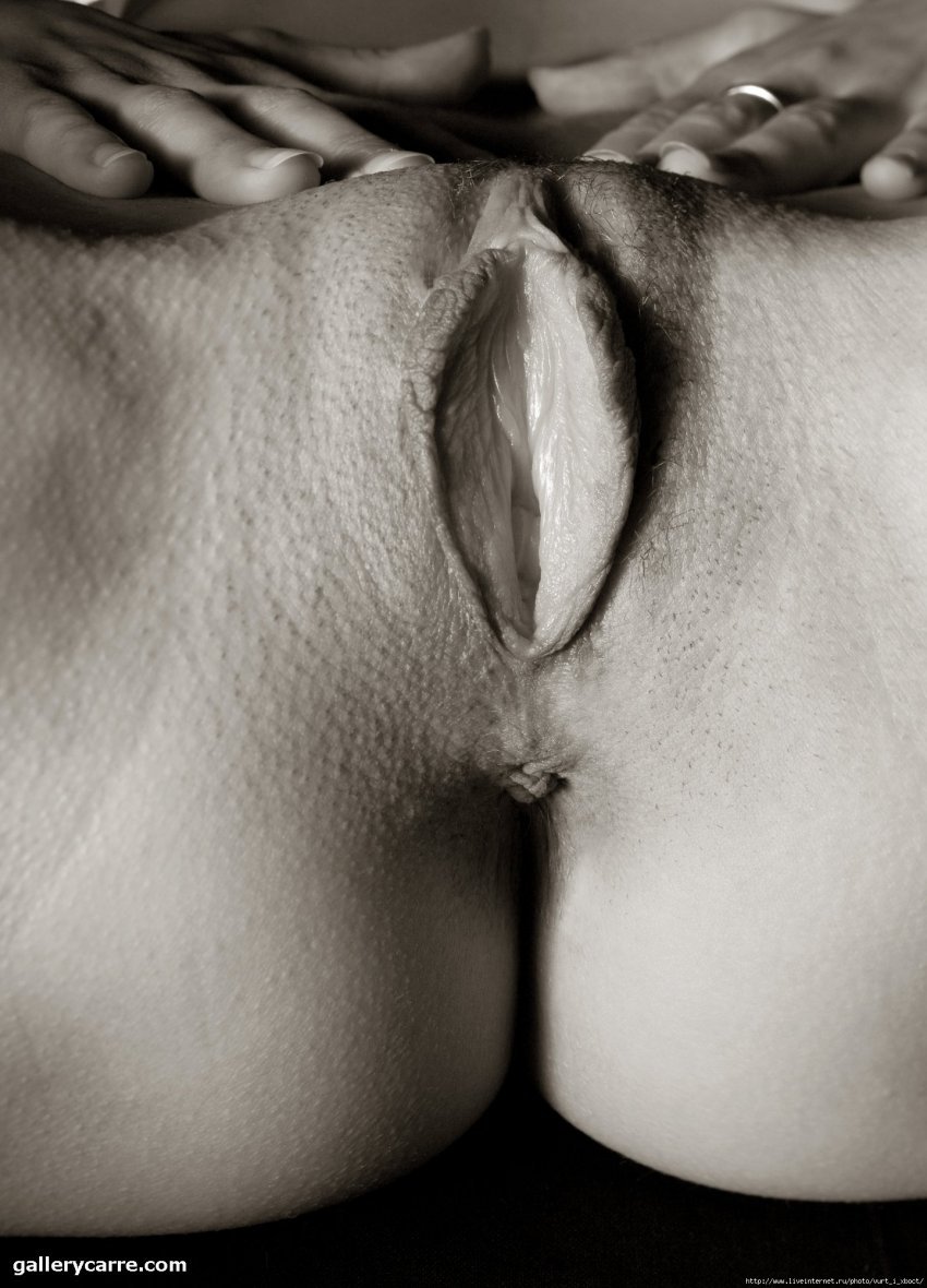 Vagina Erotica