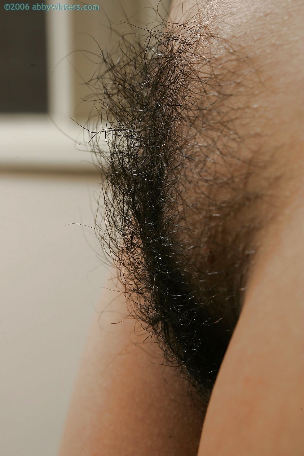 Close Up Pubes