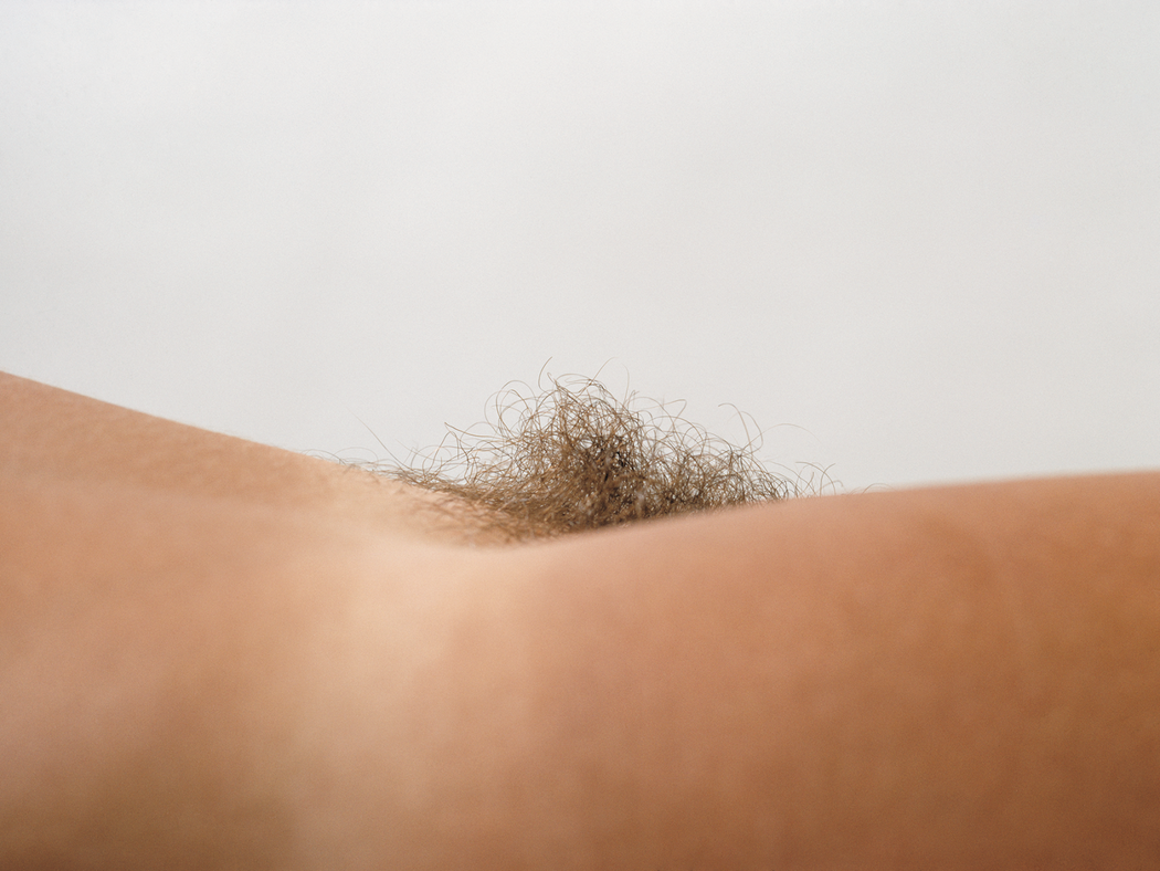 Close Up Pubes