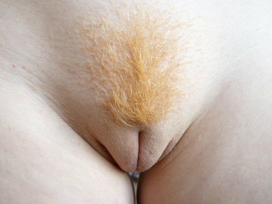 Close Up Pubes