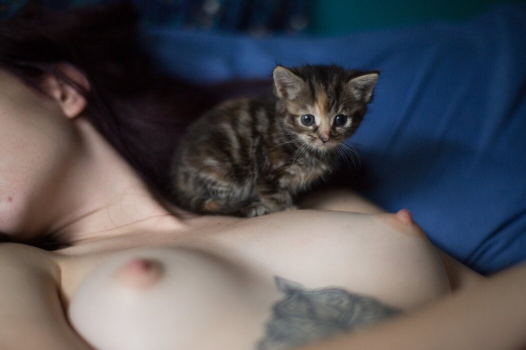 Nude Kittens