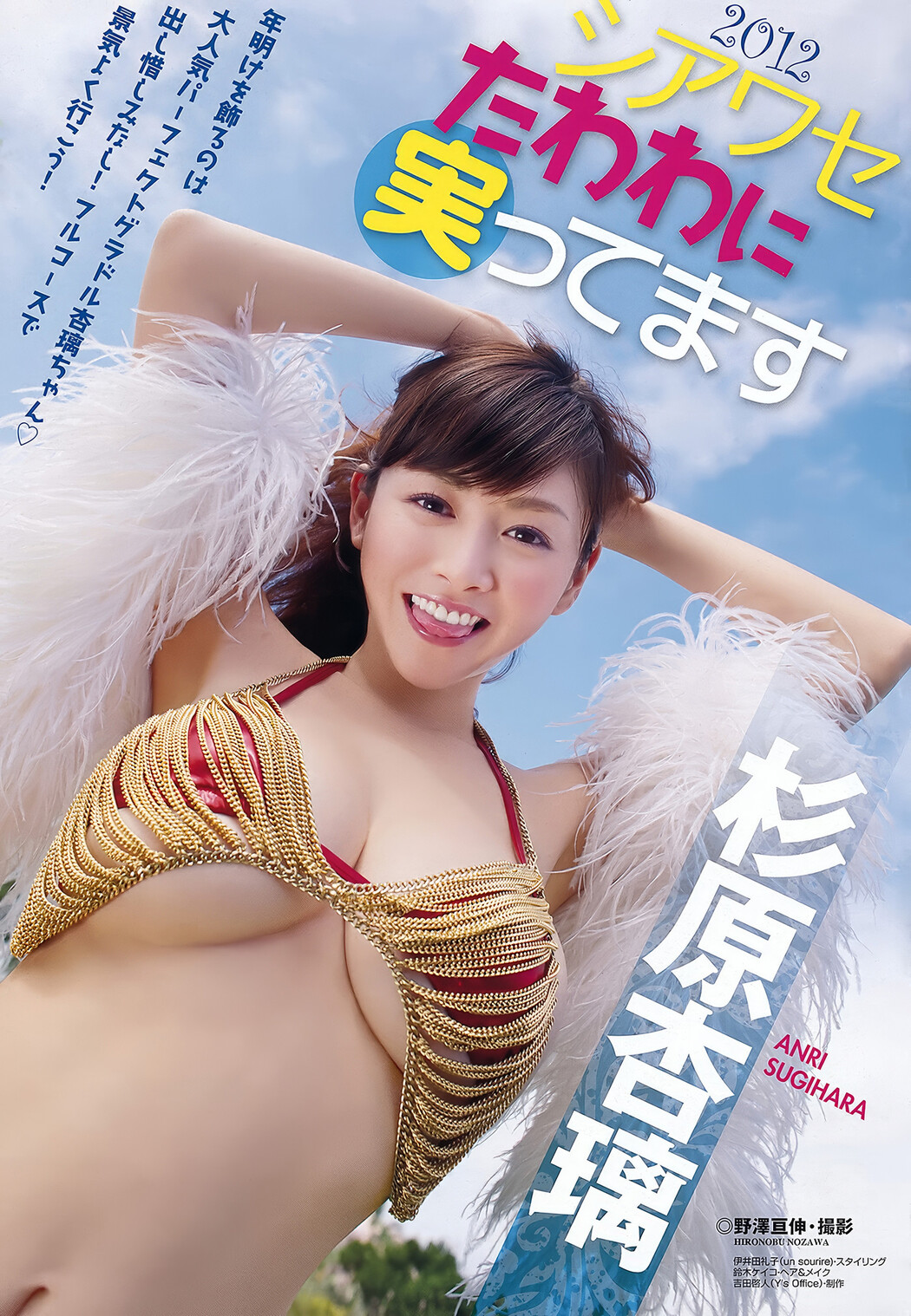 Rina Kato 加藤リナ, Young Animal Arashi 2012 No.02 (ヤングアニマル嵐 2012年2月号)