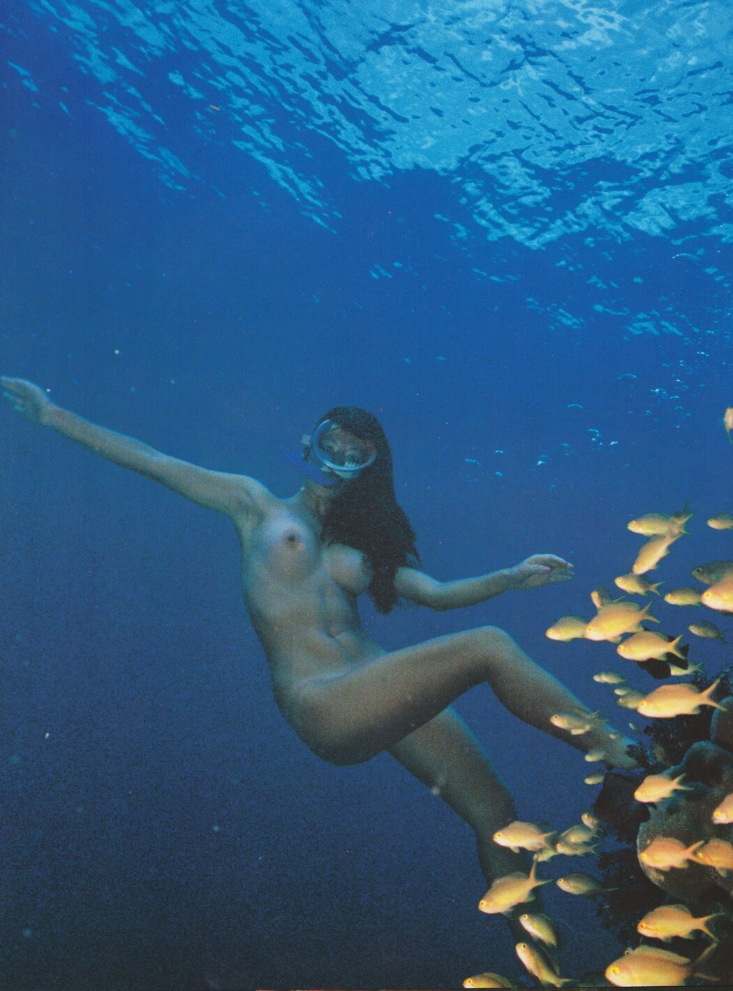 Diving Erotica