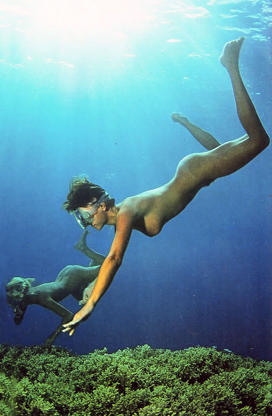 Diving Erotica