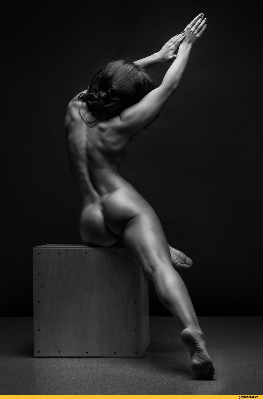 Erotica In Different Poses