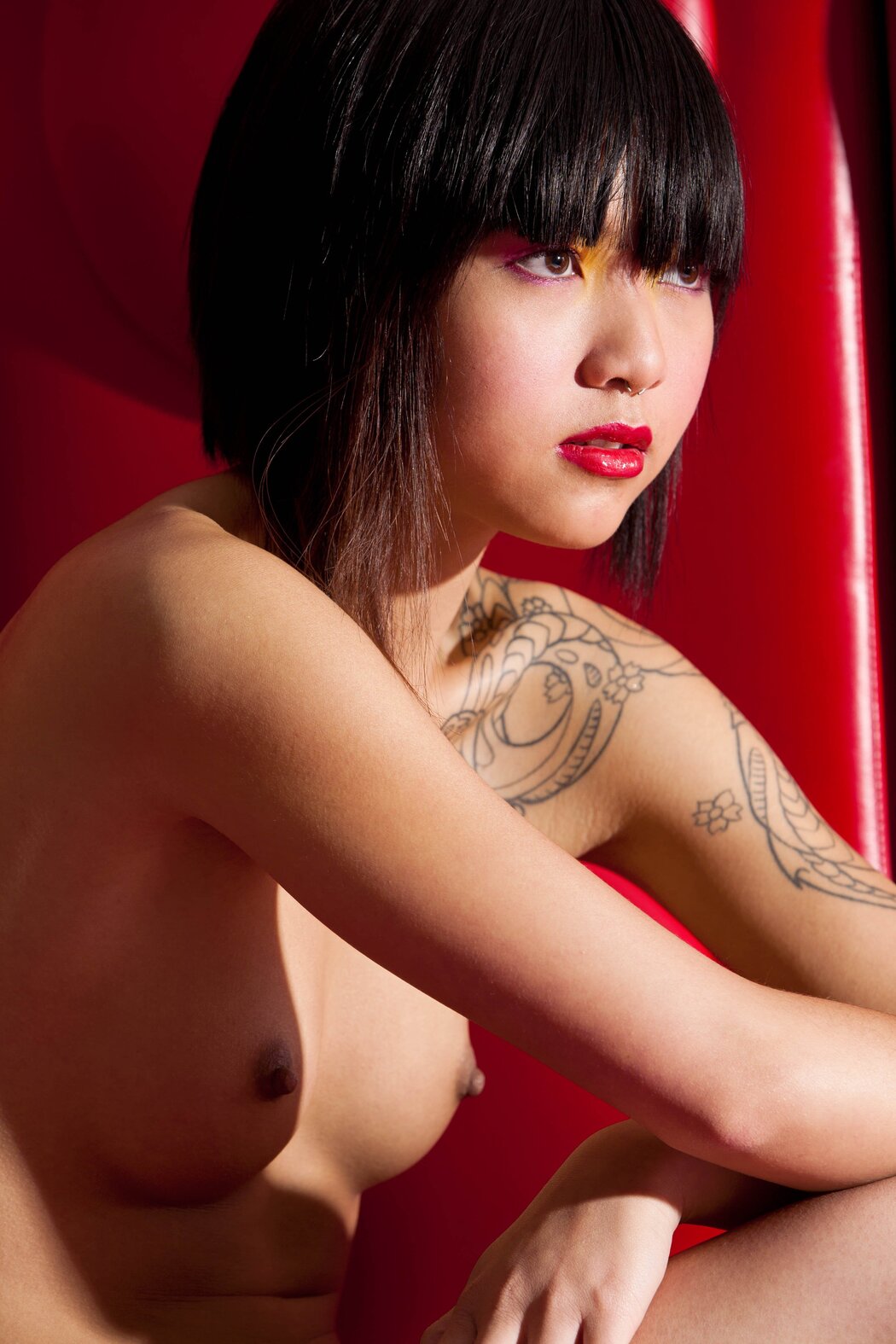 Some Asian Sexy Nude Girls Cover Photo