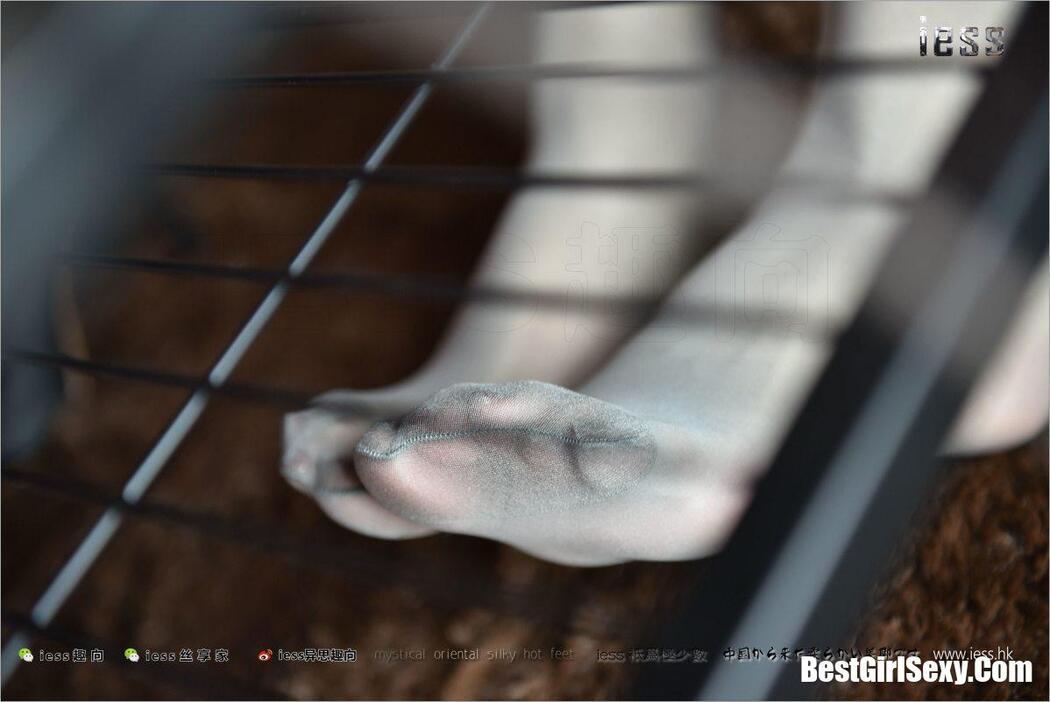 IESS异思趣向 No.169 Wei Wei