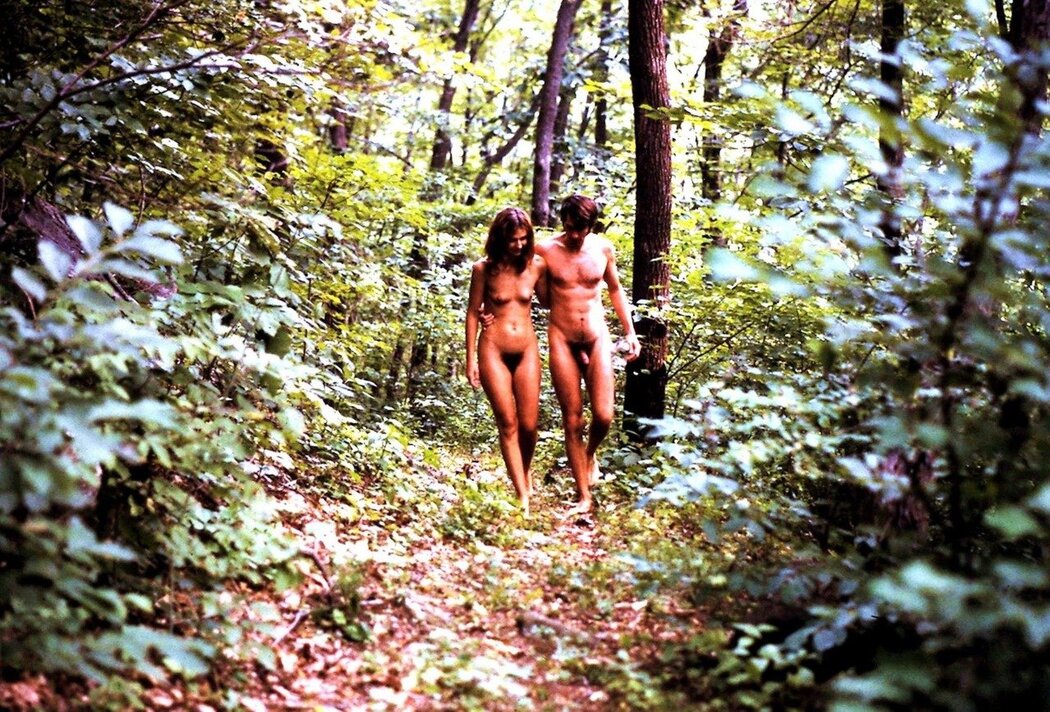 Naked Through The Woods