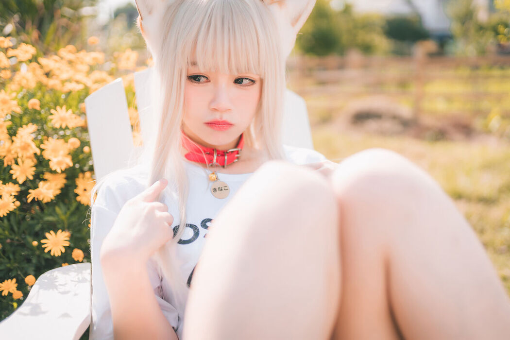 Coser@千反田鹿子 – 黄豆粉