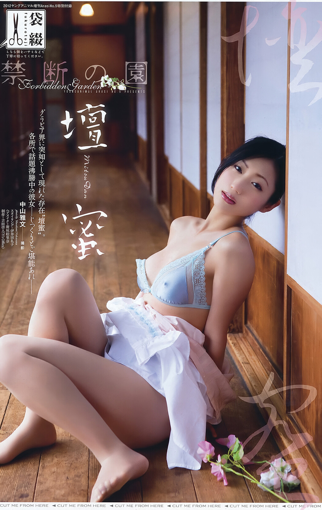 Anna Konno 今野杏南, Young Animal Arashi 2012 No.05 (ヤングアニマル嵐 2012年5月号)