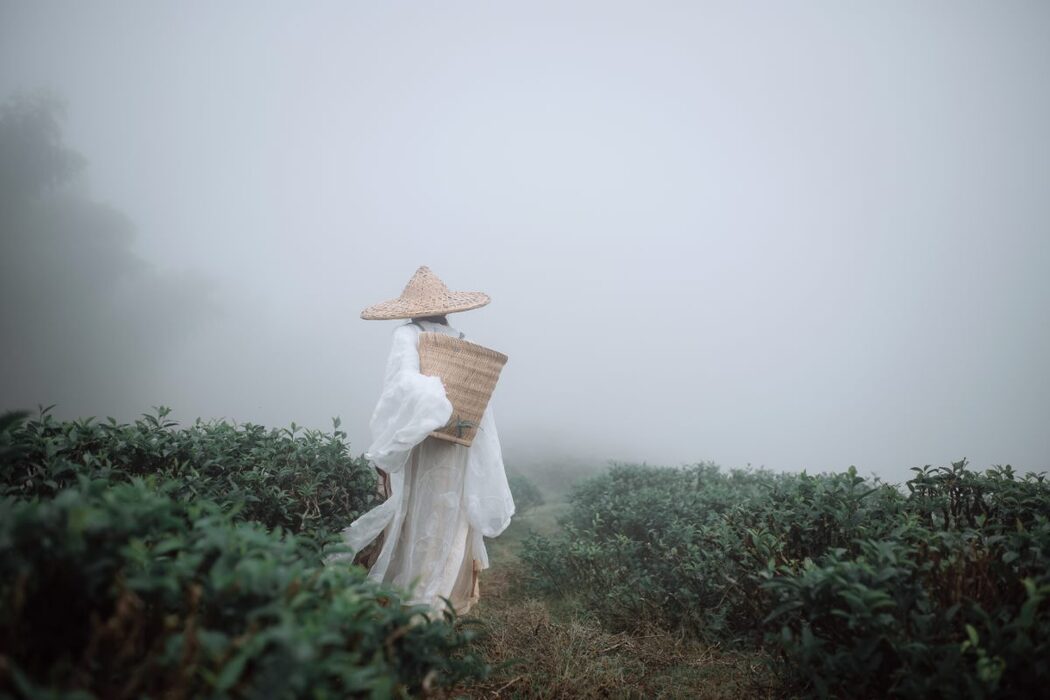 YiTuYu艺图语 Vol.1093 Ye Chu Hua