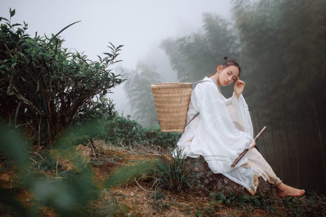 YiTuYu艺图语 Vol.1093 Ye Chu Hua