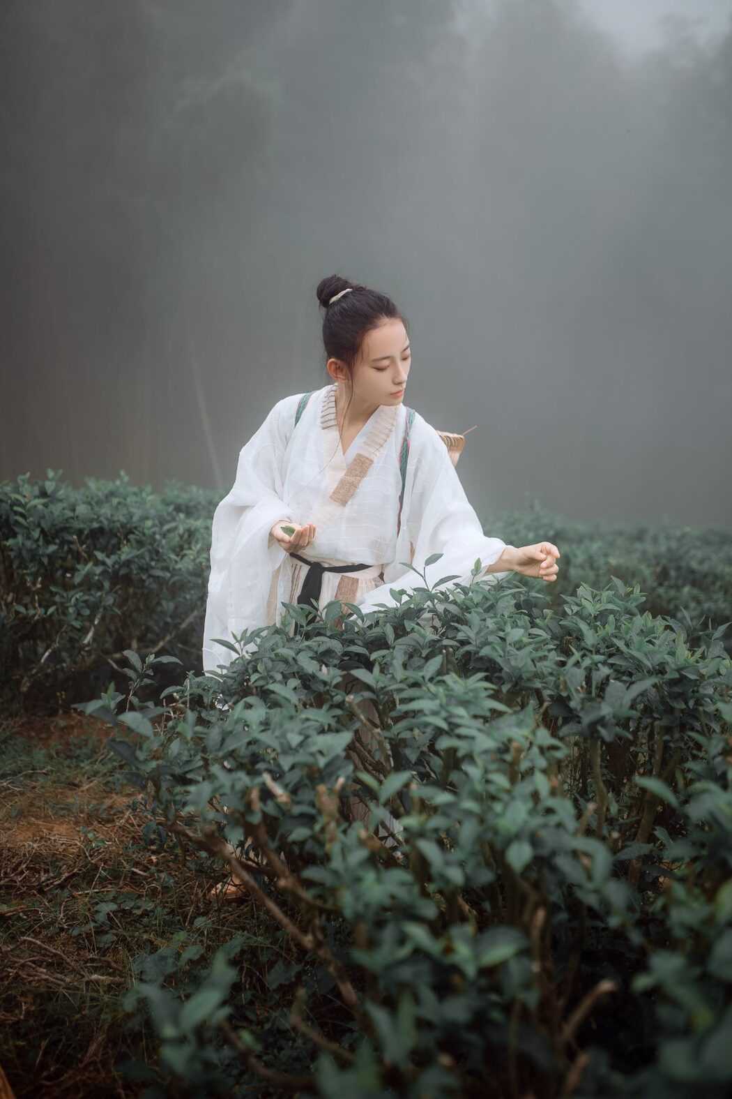 YiTuYu艺图语 Vol.1093 Ye Chu Hua