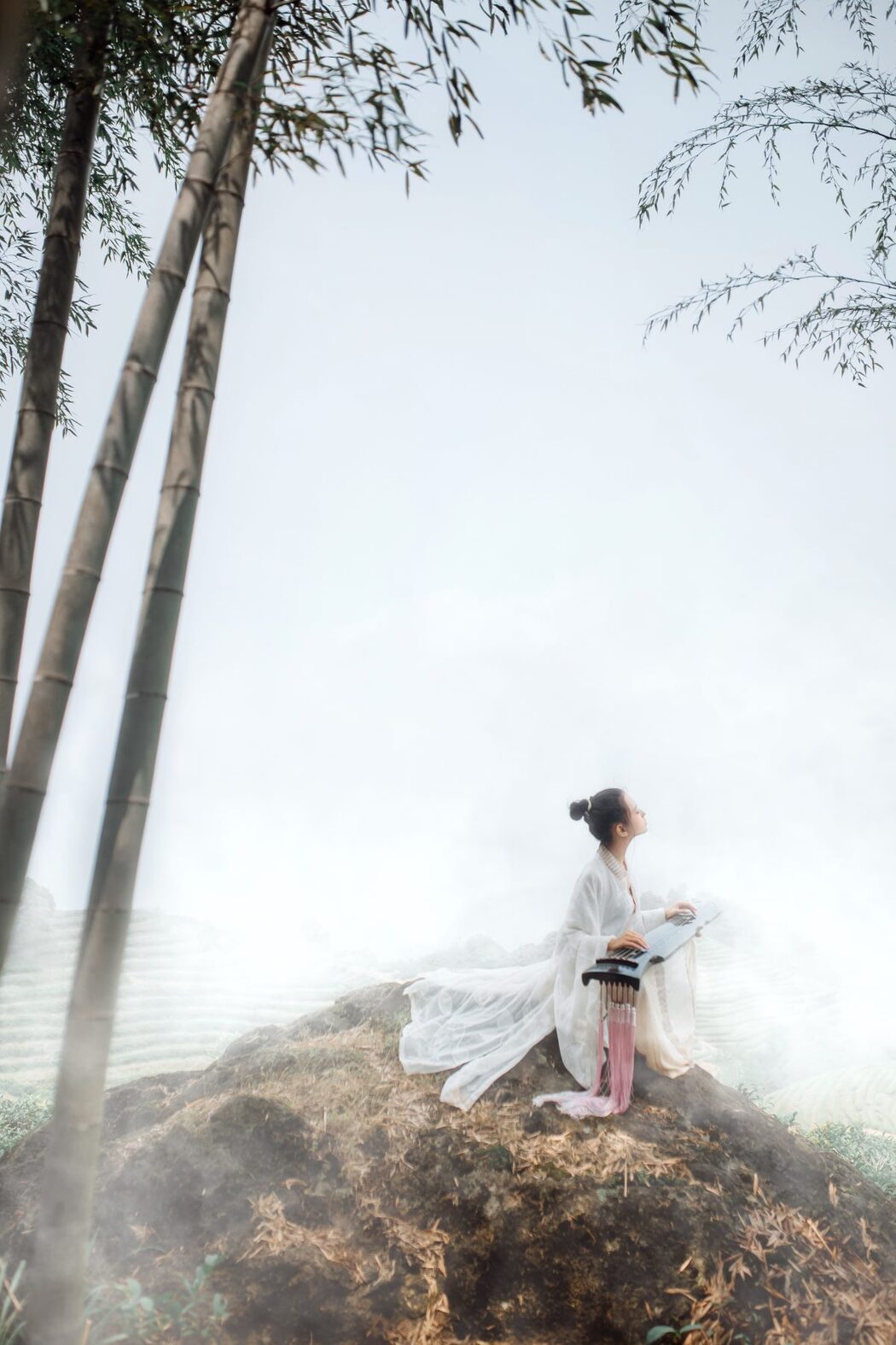 YiTuYu艺图语 Vol.1093 Ye Chu Hua