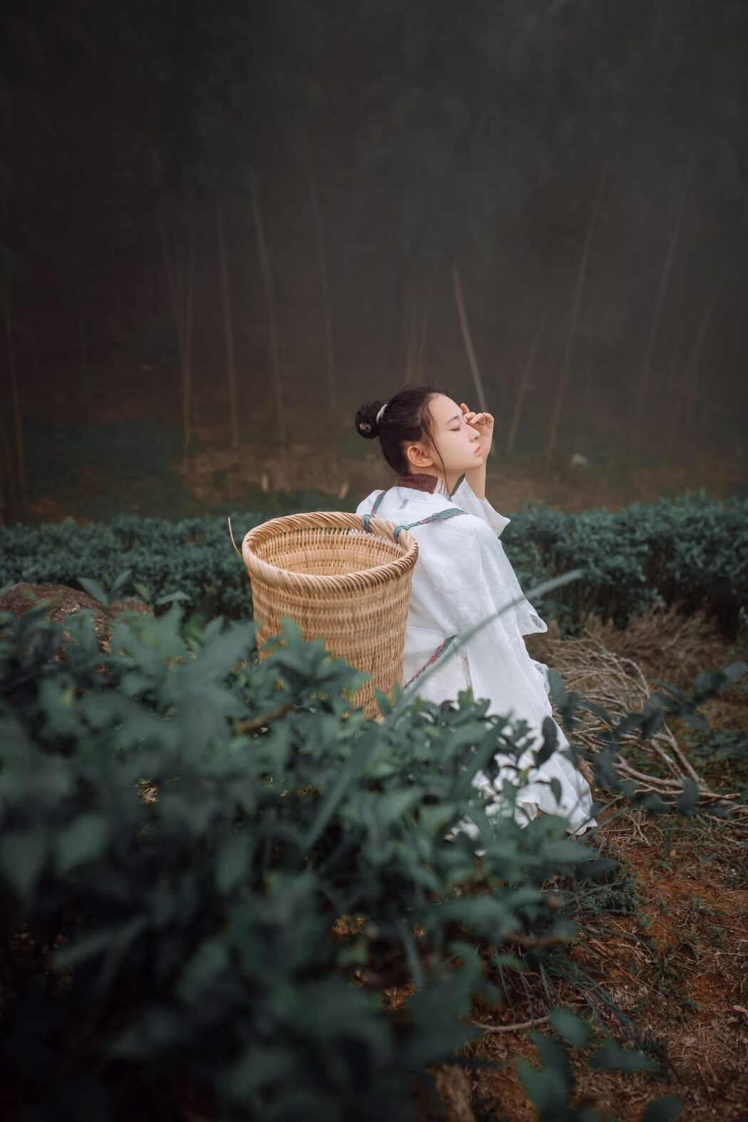 YiTuYu艺图语 Vol.1093 Ye Chu Hua