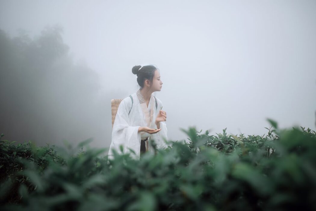 YiTuYu艺图语 Vol.1093 Ye Chu Hua