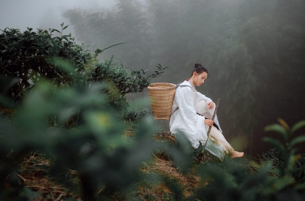 YiTuYu艺图语 Vol.1093 Ye Chu Hua