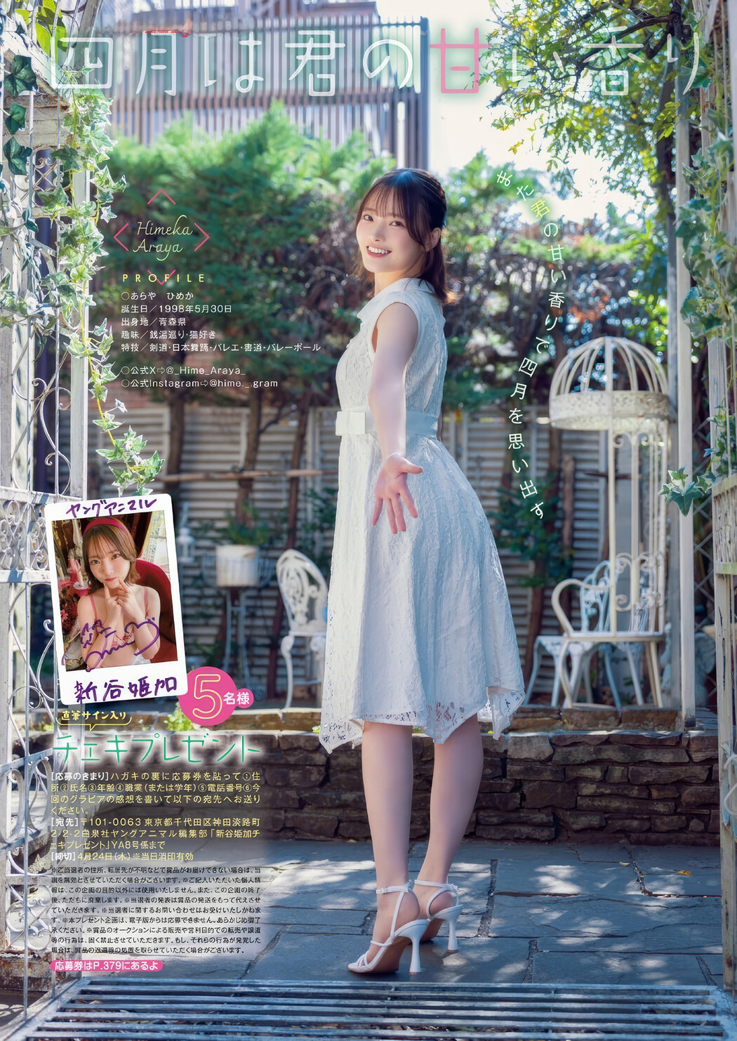 Himeka Araya 新谷姫加, Young Animal 2025 No.18 (ヤングアニマル 2025年18号)