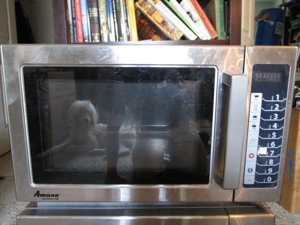 Microwave Oven