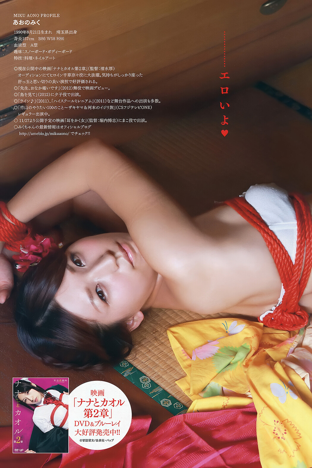 Mana Sakura 紗倉まな, Young Animal Arashi 2012 No.11 (ヤングアニマル嵐 2012年11月号)