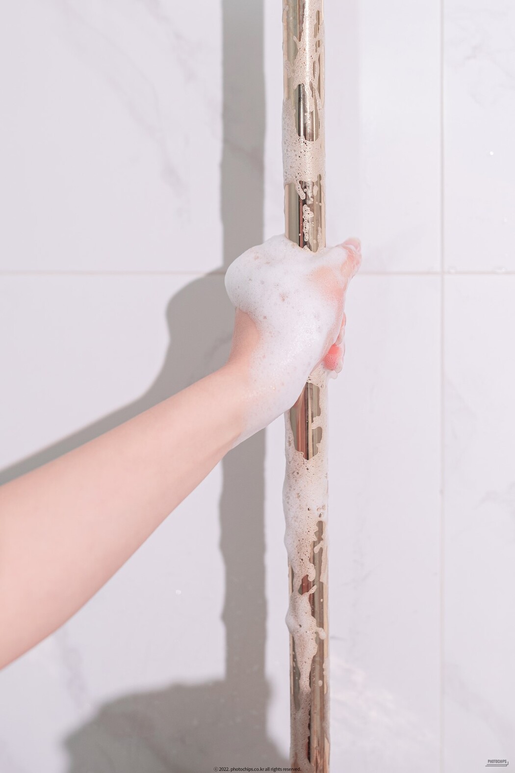 PhotoChips Vol.118 No.15 Dami 퀸다미