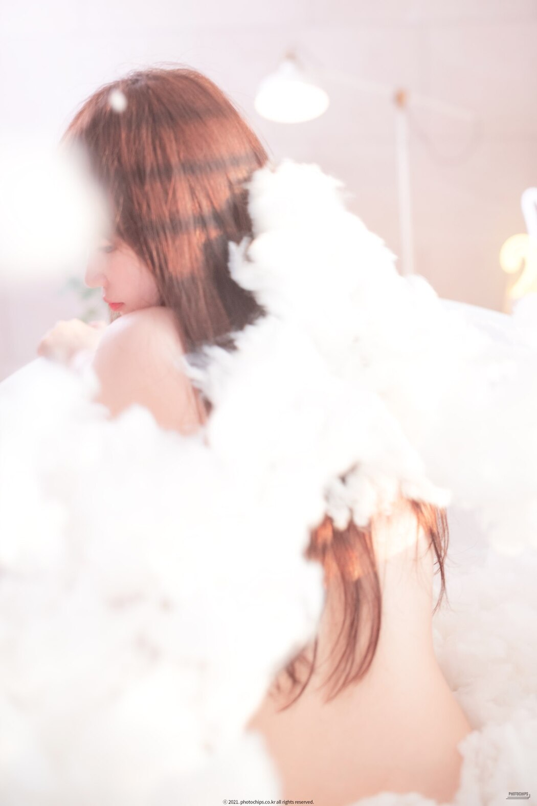 PhotoChips Vol.111 No.6 Sia 시아
