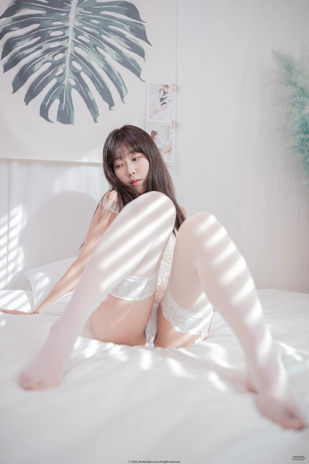 PhotoChips Vol.80 No.2 Shaany