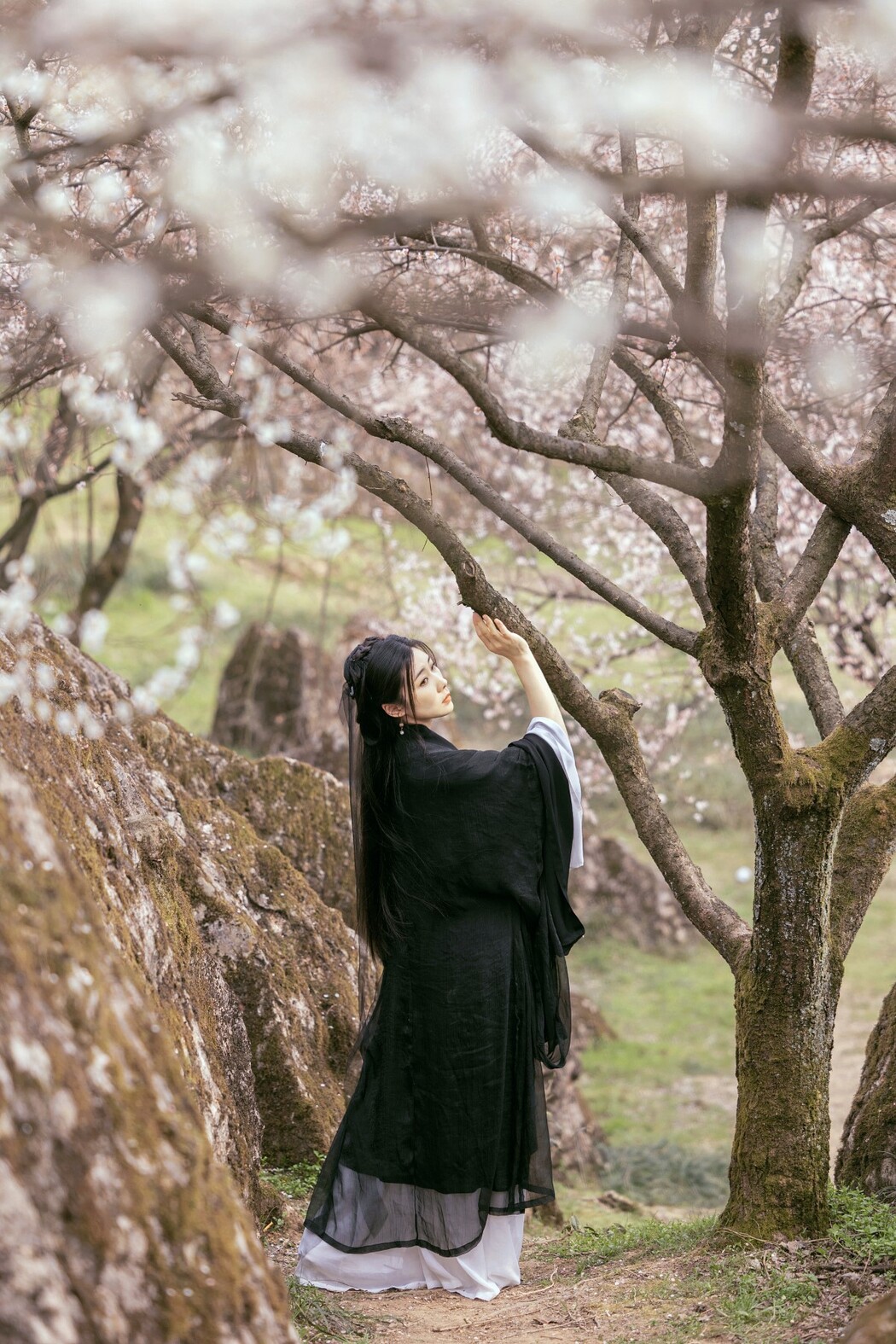 YiTuYu艺图语 Vol.1178 Mu Jing Shu