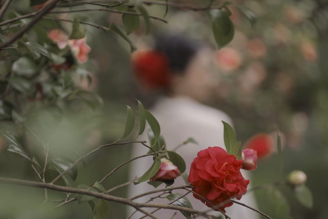 YiTuYu艺图语 Vol.1109 Hao Ai Chi Nuo Mi