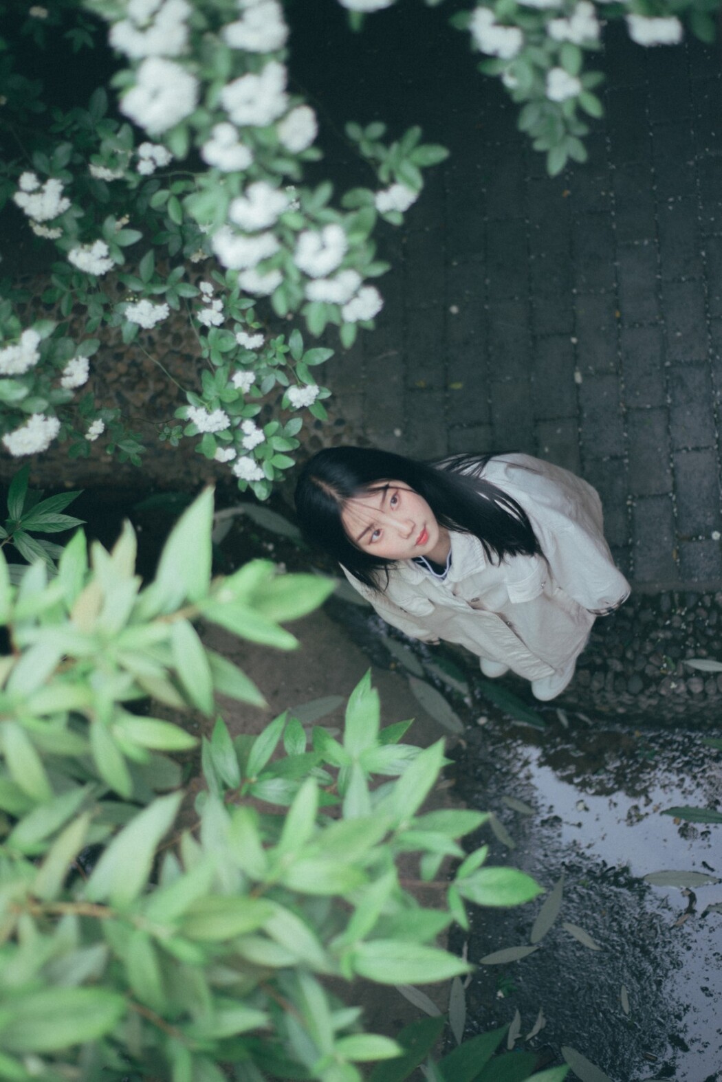 YiTuYu艺图语 Vol.1137 Zi Qing