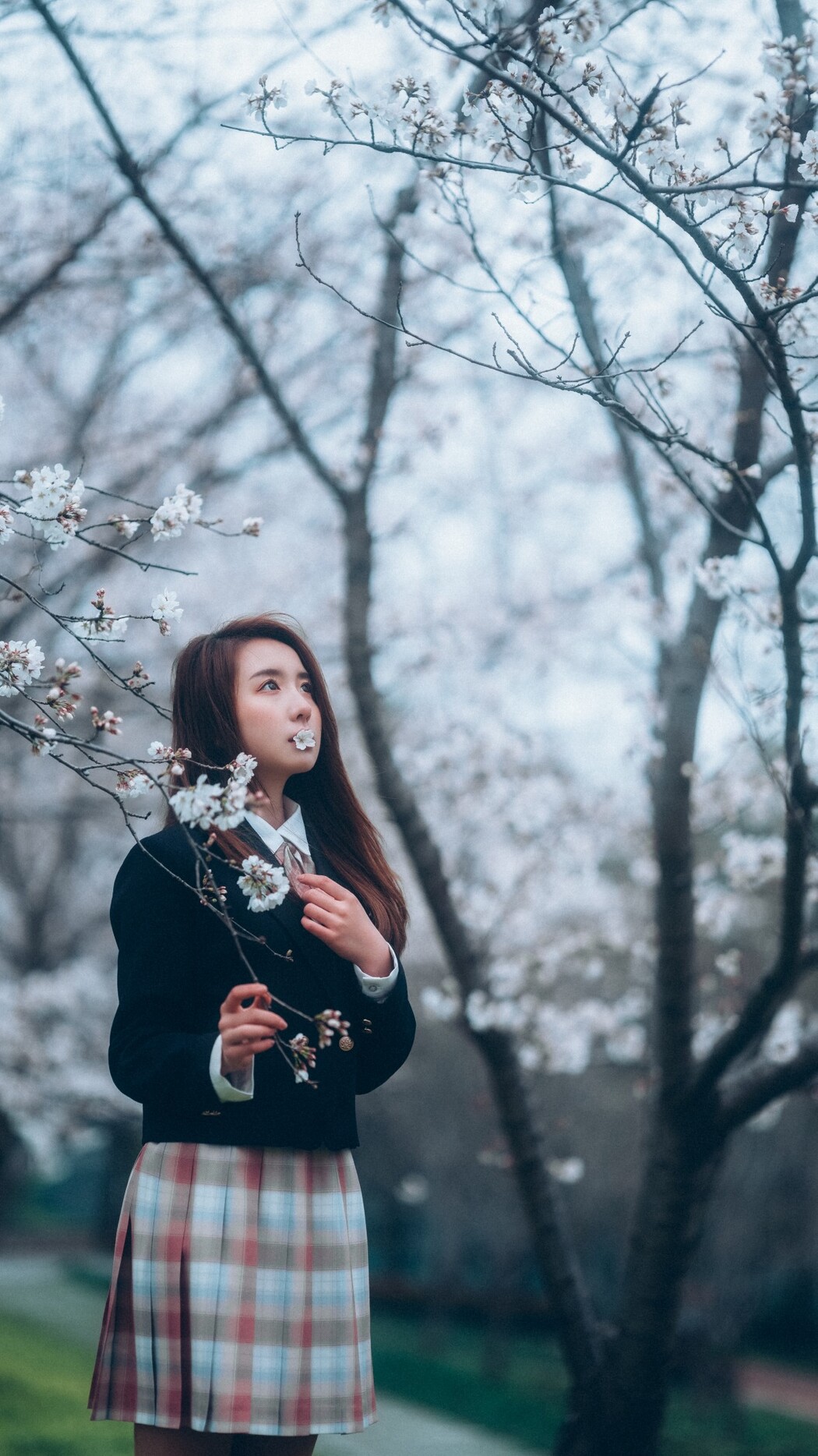 YiTuYu艺图语 Vol.1166 Fu Gui