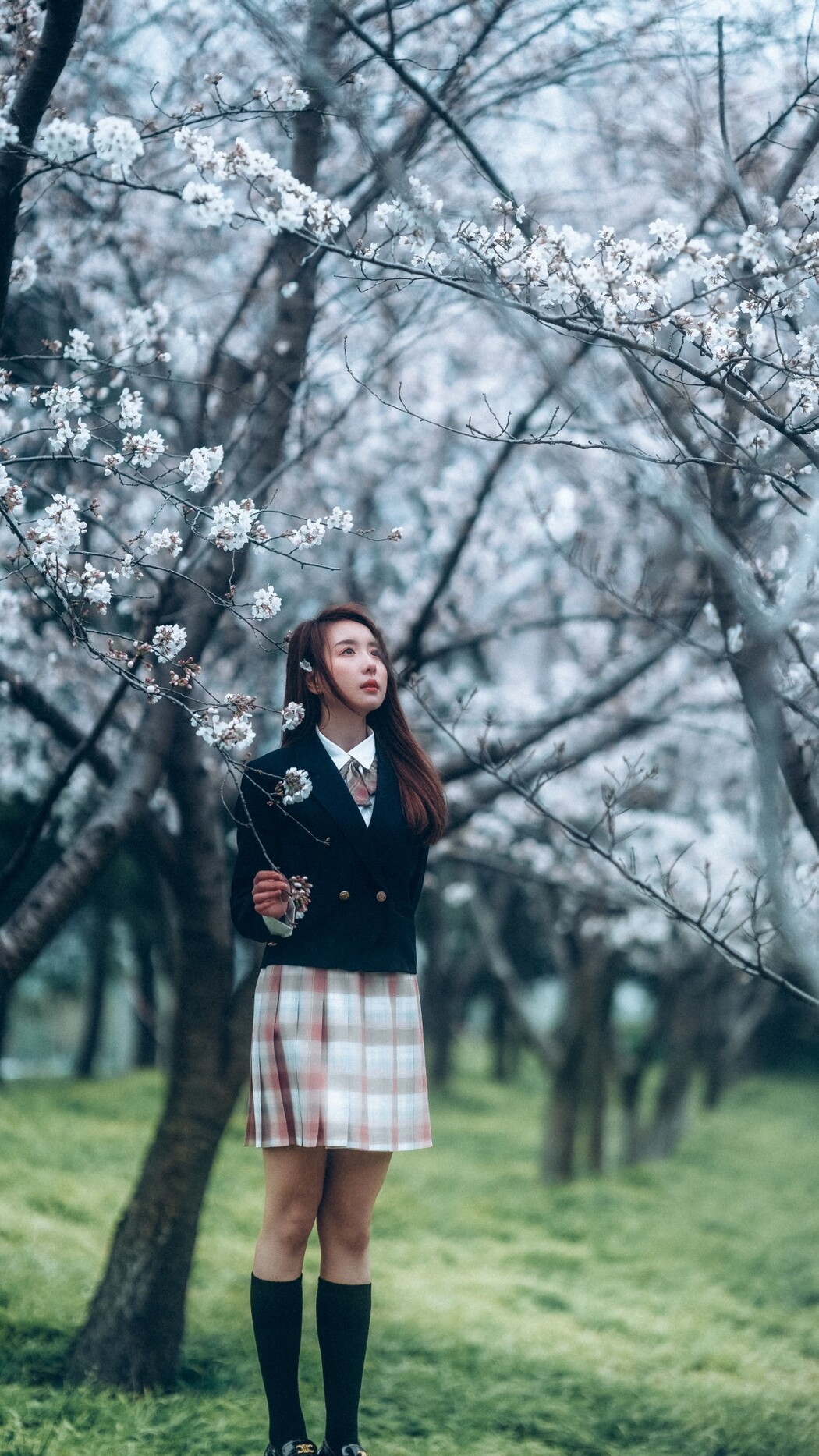 YiTuYu艺图语 Vol.1166 Fu Gui