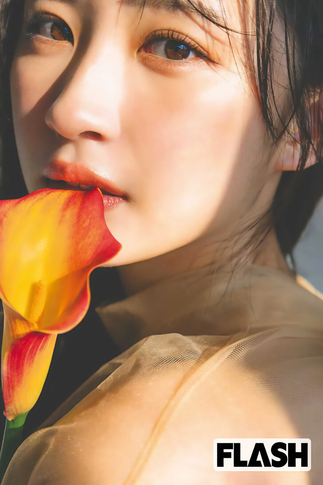 松本日向・福本莉子, FLASH 2025.04.01 (フラッシュ 2025年4月1日号)