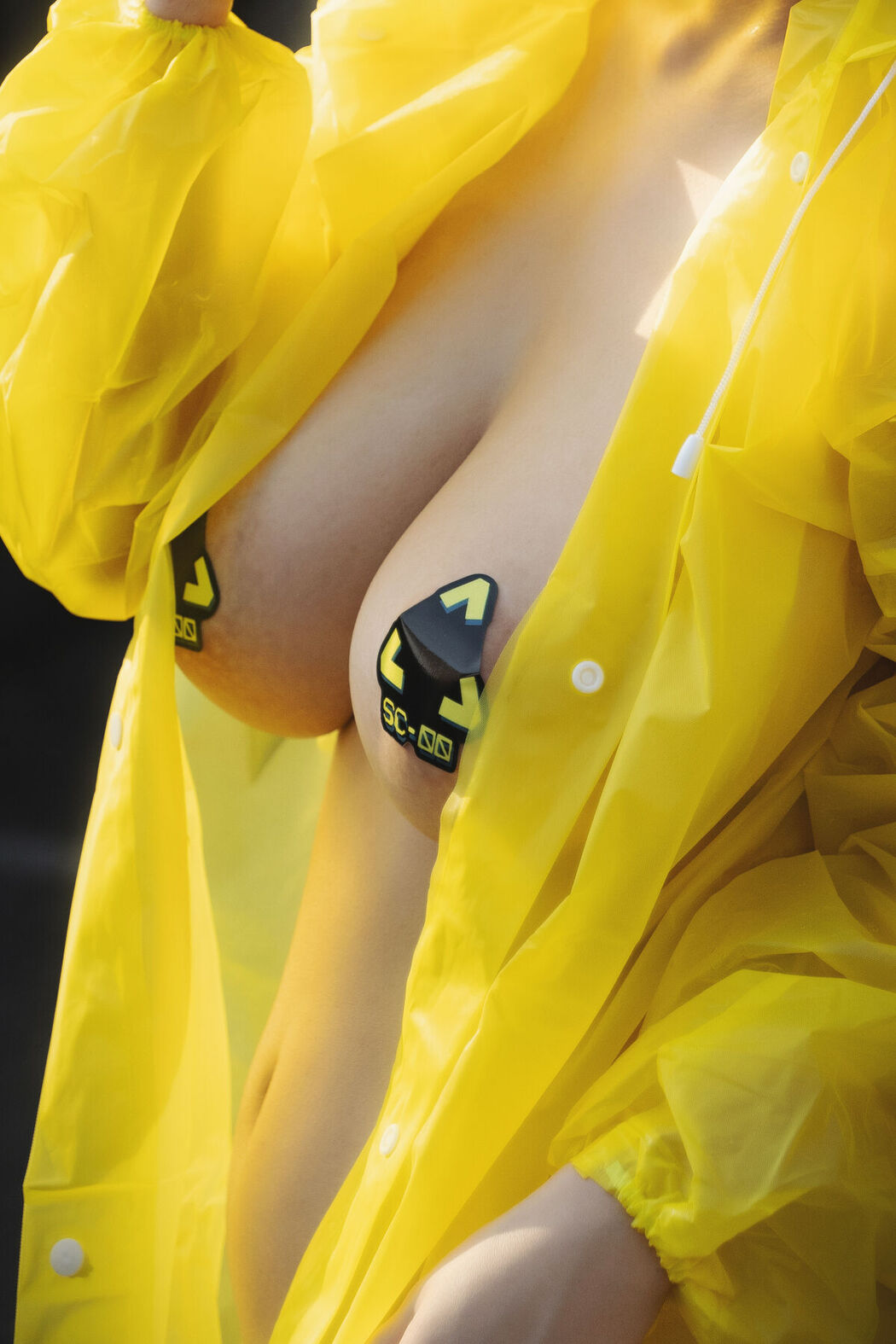Coser@浅安安 – 湮灭