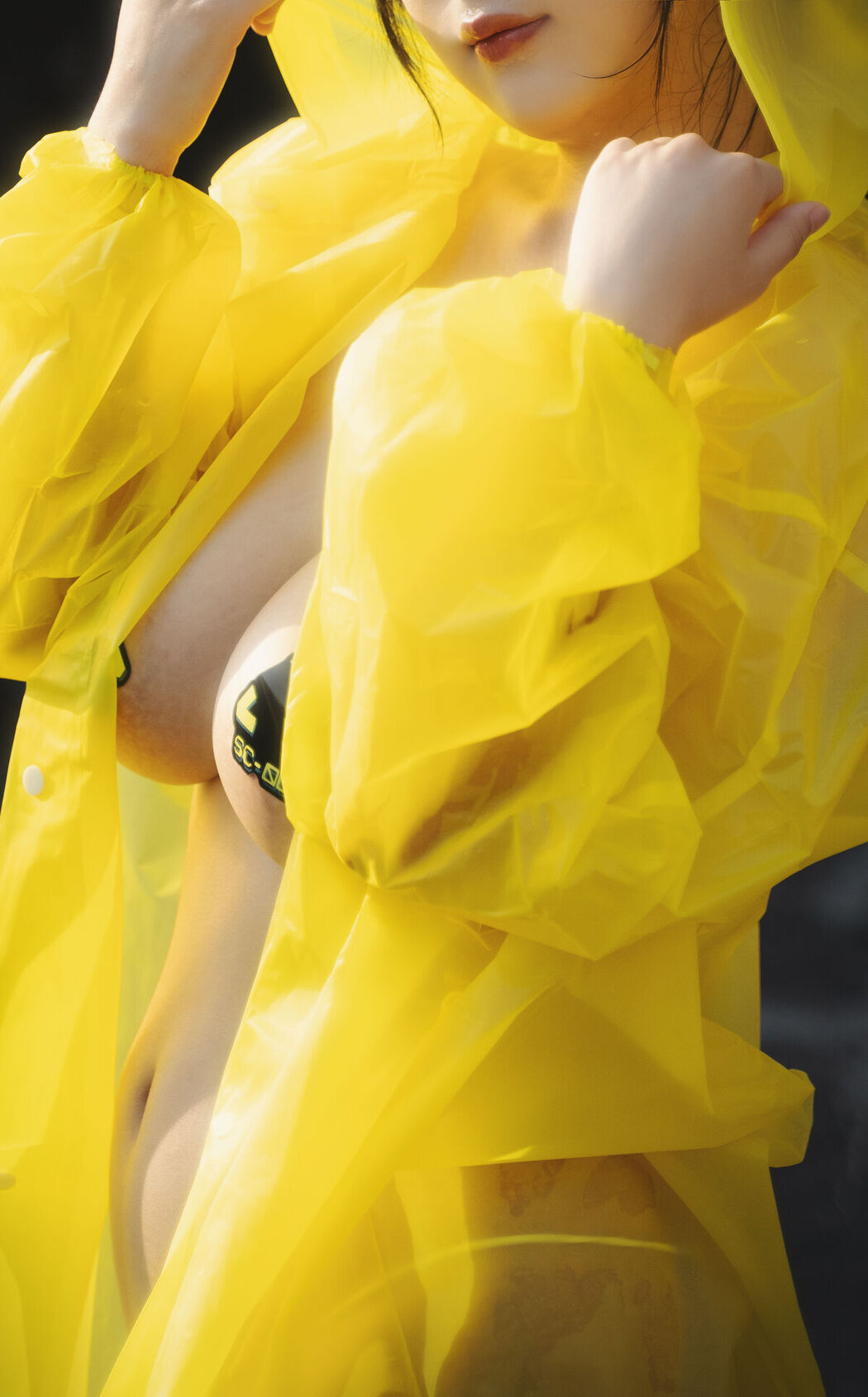 Coser@浅安安 – 湮灭