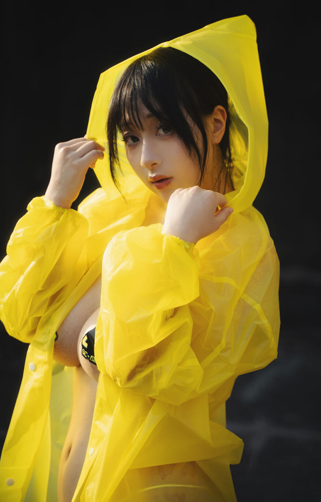 Coser@浅安安 – 湮灭