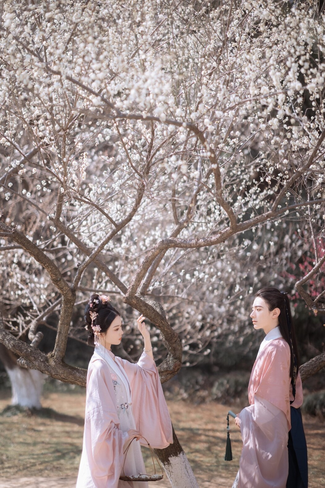 YiTuYu艺图语 Vol.1221 Ting Er