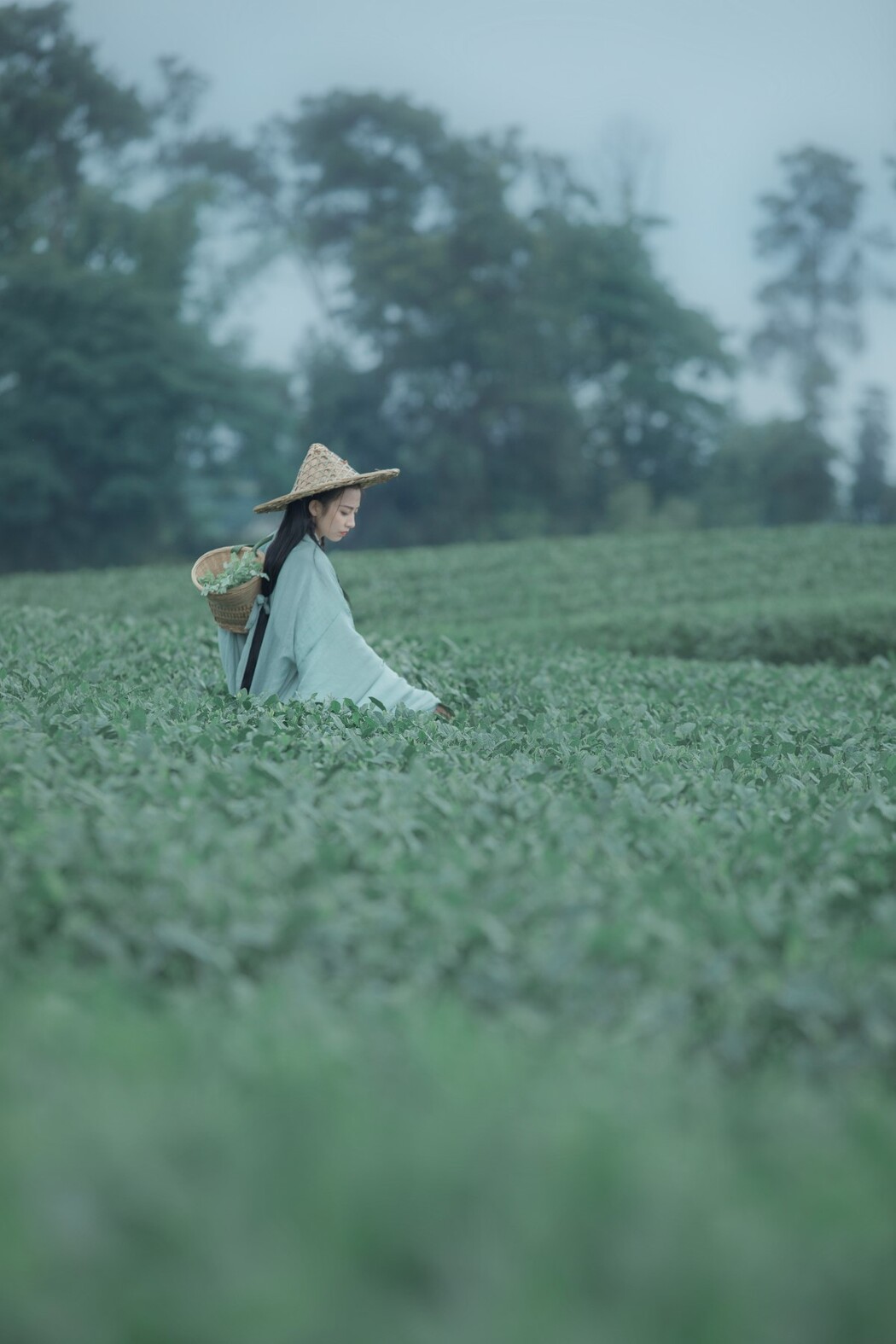 YiTuYu艺图语 Vol.1235 Yi Bao